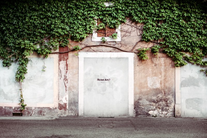 ivy covered urban wall with street art text graffiti tag on white doorway in geneva, old stone building 4k