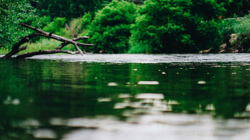 a water level shot of provo river with green bushes on its bank, wild river 4k