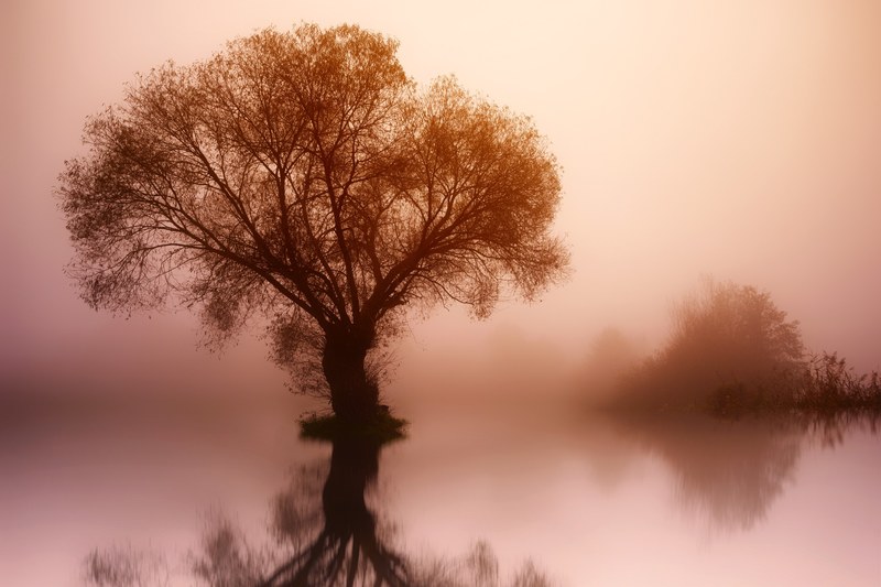 calm quiet beautiful and color 4k