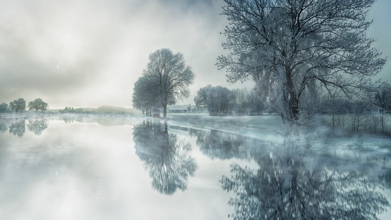 cloud outdoor tree and peaceful 4k