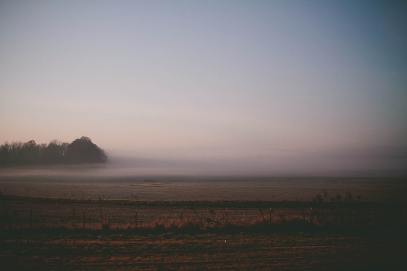 a rural landscape with a fog covering the plowed field, cloud on the field 4k