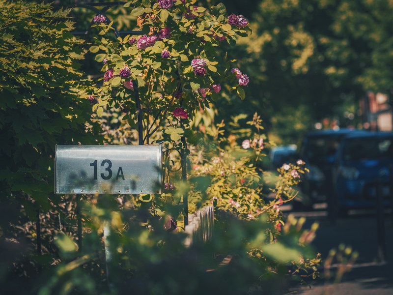 a mailbox near a rose bush, suburban mailbox 4k