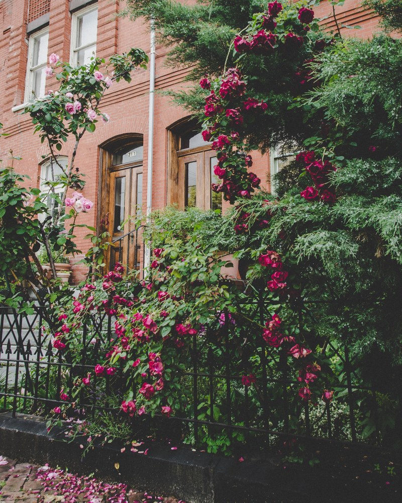 architecture brownstone apartment and yard hd, 4k