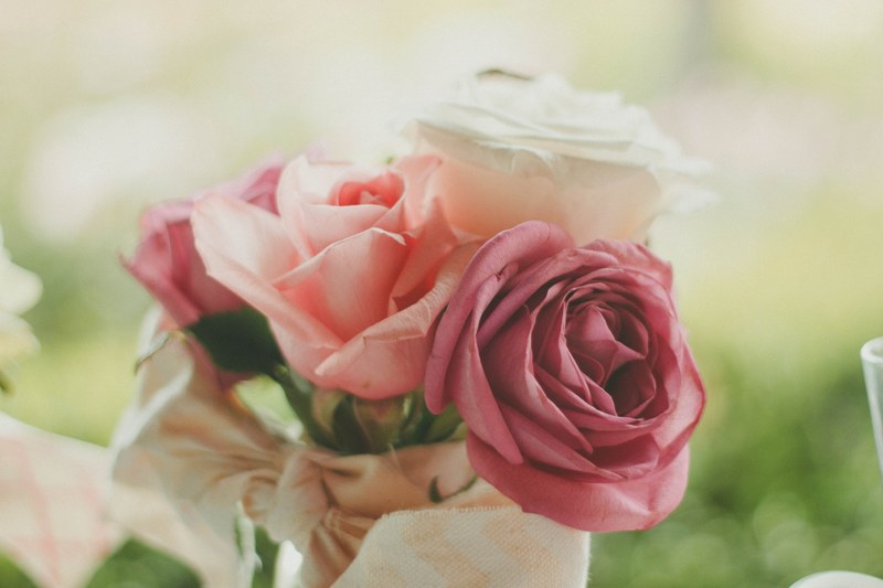closeup shot capturing a beautiful pink rose and its petals from the walnut creek, rose and petals at walnut creek 4k
