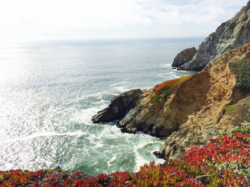 cliff edge with flowers overlooking rocky ocean coastline at devils slide, rocky coastline 4k
