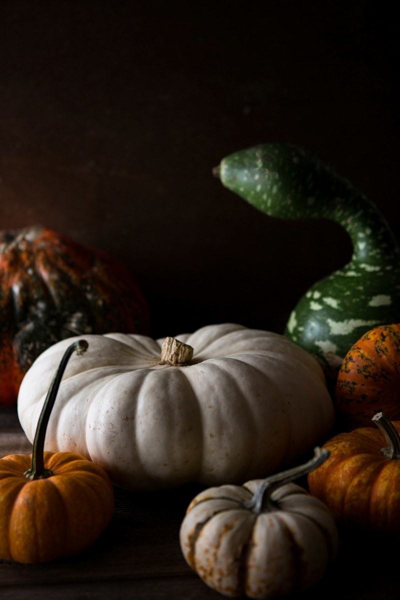 still life with gourds 4k
