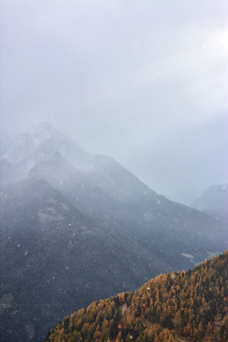 light snowfall 4k