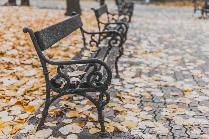 a row of park benches in bucharest each covered with autumn leaves, bucharest park benches 4k