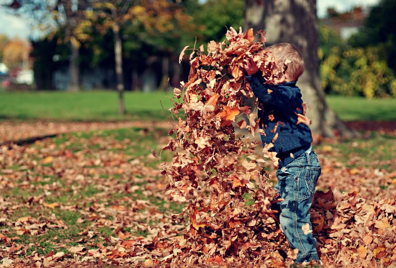 a little boy throwing leaves up in the air during fall, leaves in the air 4k