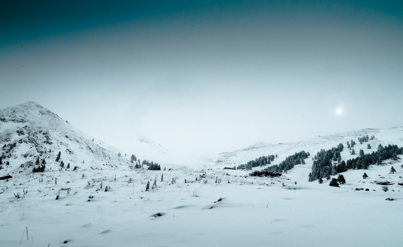 shrubs and evergreen trees under a thick snow blanket in kalavryta, wintry landscape in kalavryta 4k