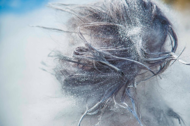a macro view of snow dusted hair in movement, _moving snow dusted hair 4k