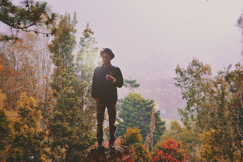 a man dressed in a hipster hat standing on a boulder in fall, hats off 4k