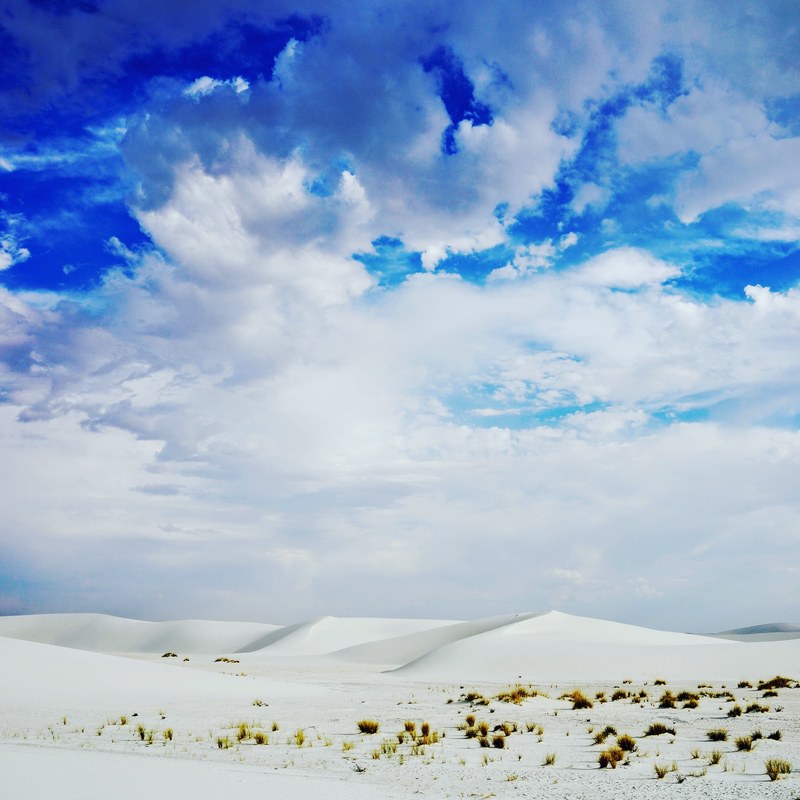sunny sky in the desert of white sands national monument, white sands and desert shrubs 4k