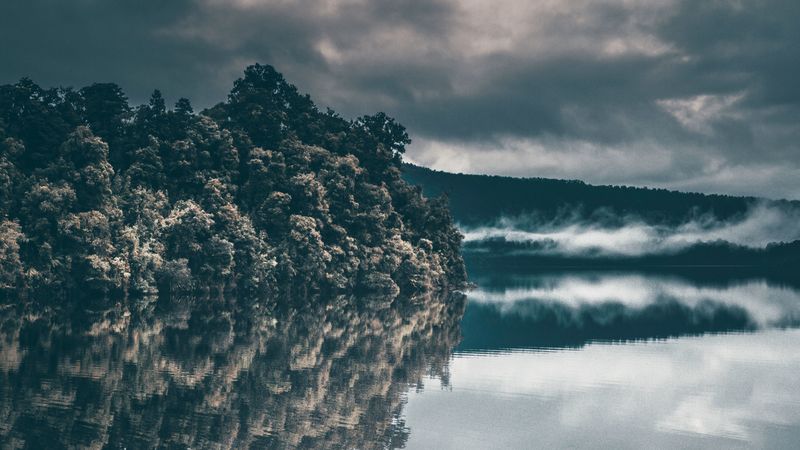 trees, river, fog, sky, 4k