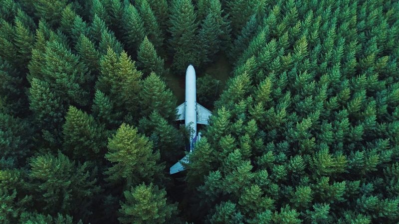 airplane, trees, top view, 4k