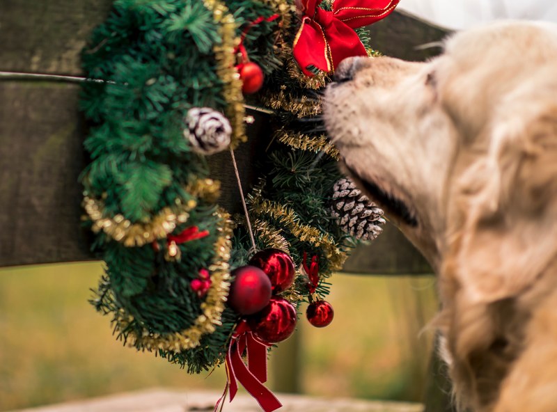 foliage christmas decor and decoration 4k