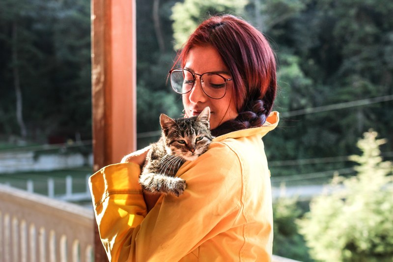 a woman in a braid and large sunglasses holds a small cat on a porch, woman holding cat 4k
