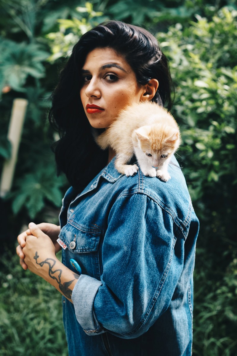 trendy young woman balances a small cute kitten on her shoulder, cat lady 4k
