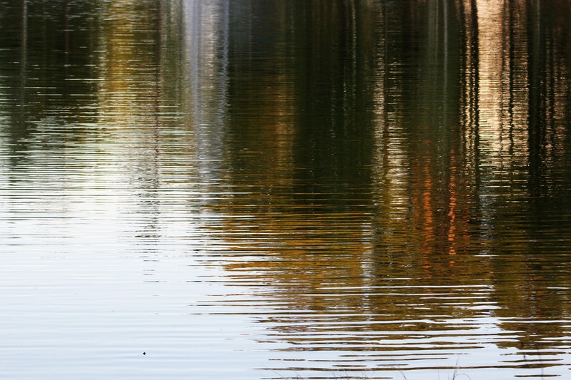 gentle wafe ripple and black 4k