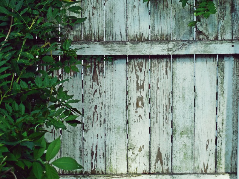 gunk mold fence panel and wood 4k