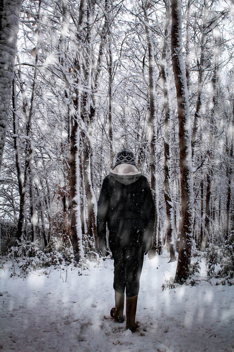 lost in the winter wonderland 4k