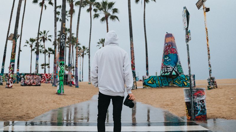 camera, photographer, hood, palm trees, 4k