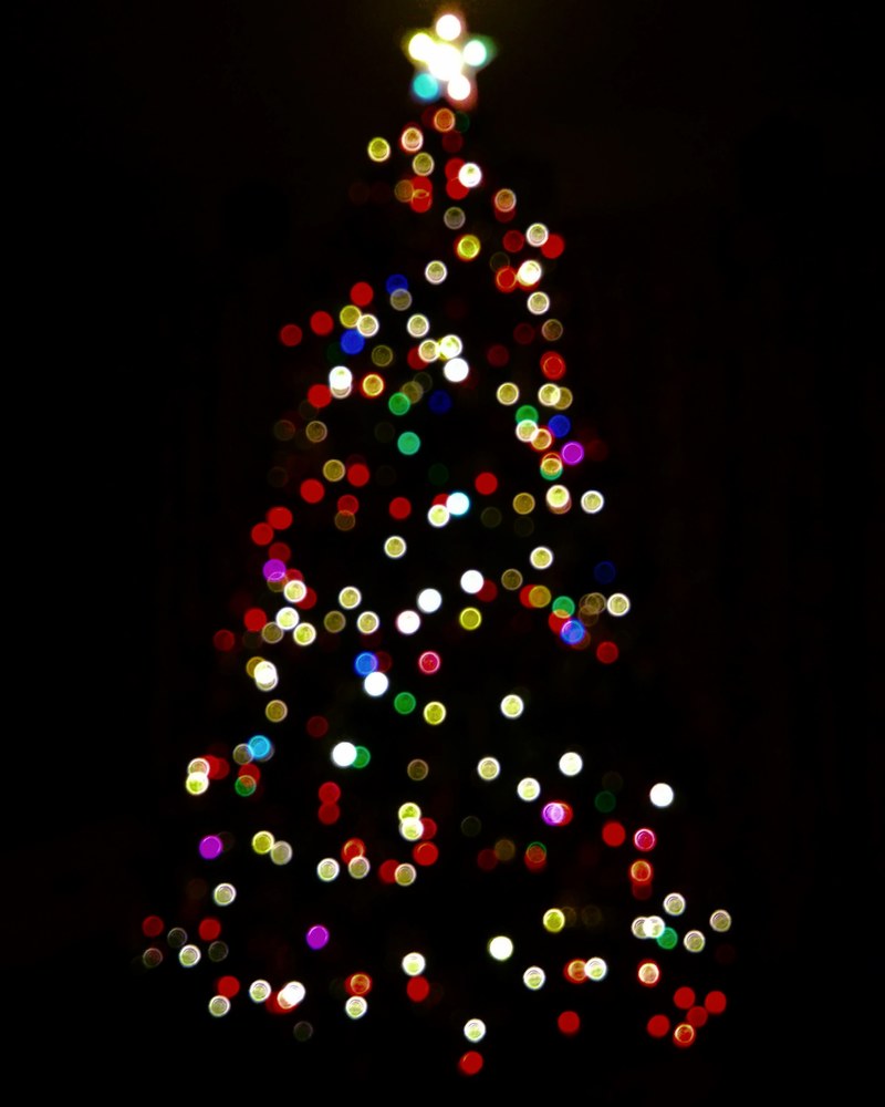 lights tree christmas tree and star hd, 4k