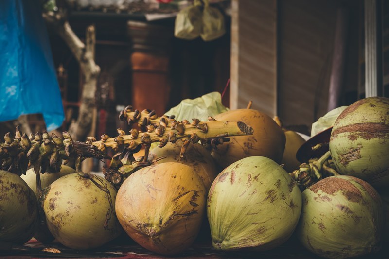fresh organic coconuts 4k