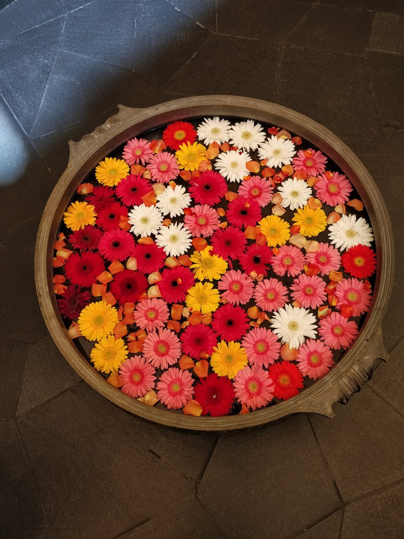 flowers in a bowl 4k