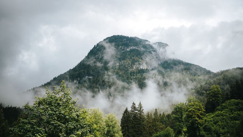 mountains, fog, forest, trees, 4k