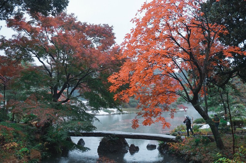 seasons of zen 4k