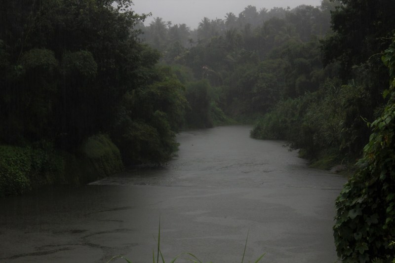 raining in river 4k