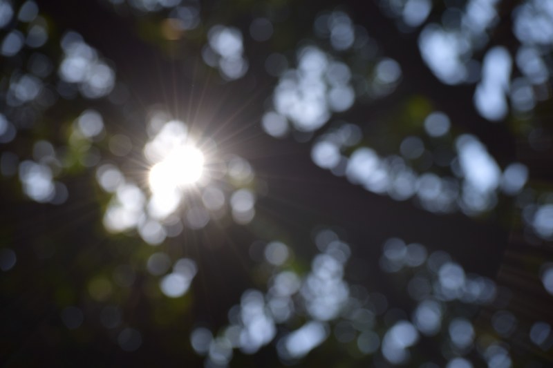 let the light shine 4k