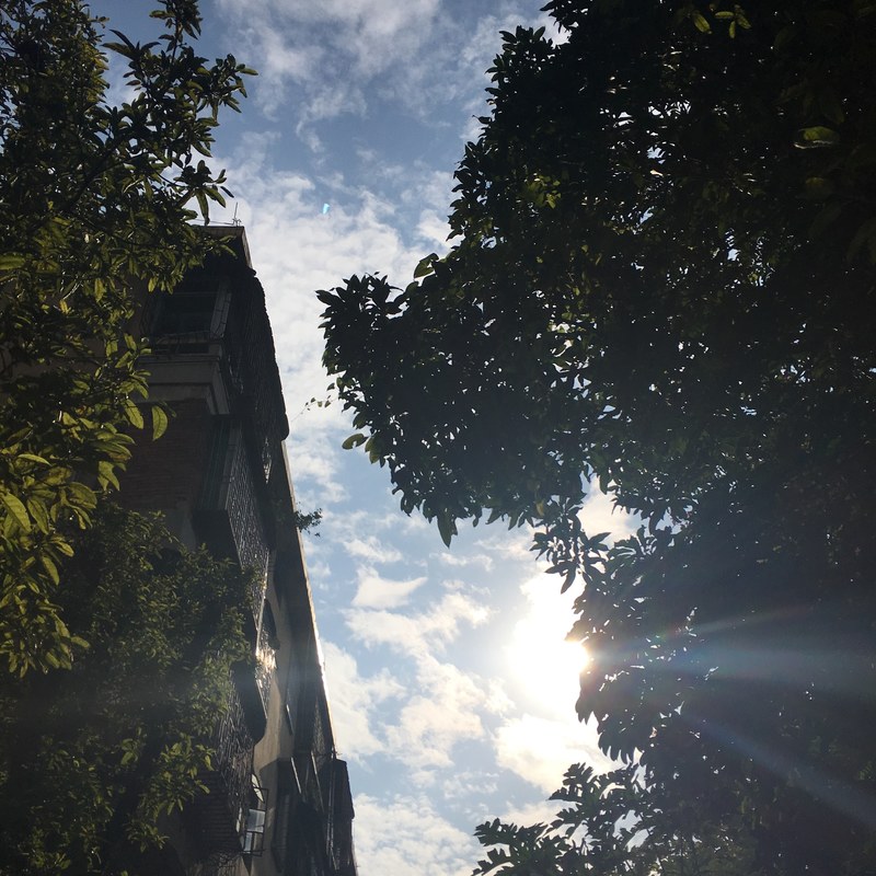 sunshine 4k