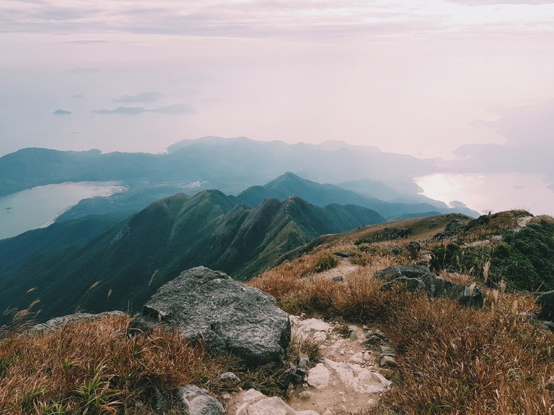 lost in the wilderness 4k