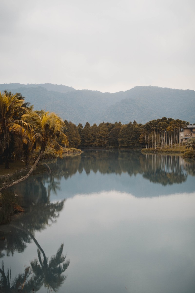 tranquility 4k