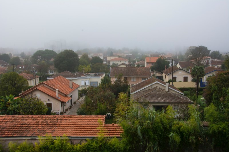 small town with trees behind houses and foggy grey sky, small town and fog 4k