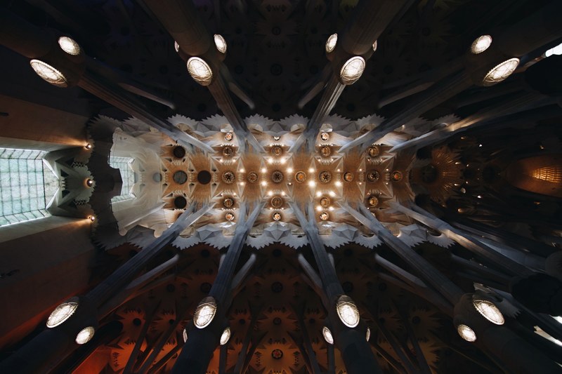 a shot of the sagrada familia church ceiling in barcelona, sagrada familia ceiling 4k