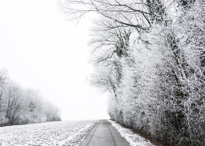 a winter road with snow covered trees running alongside taken in estavayer le lac in switzerland, switzerland winter forest road 4k