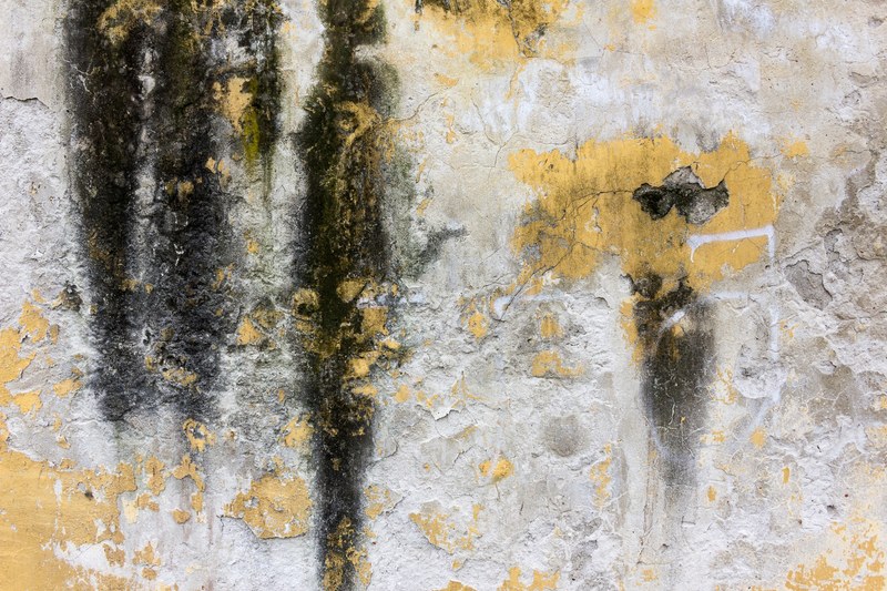 grunge texture grunge wall and texture wall 4k