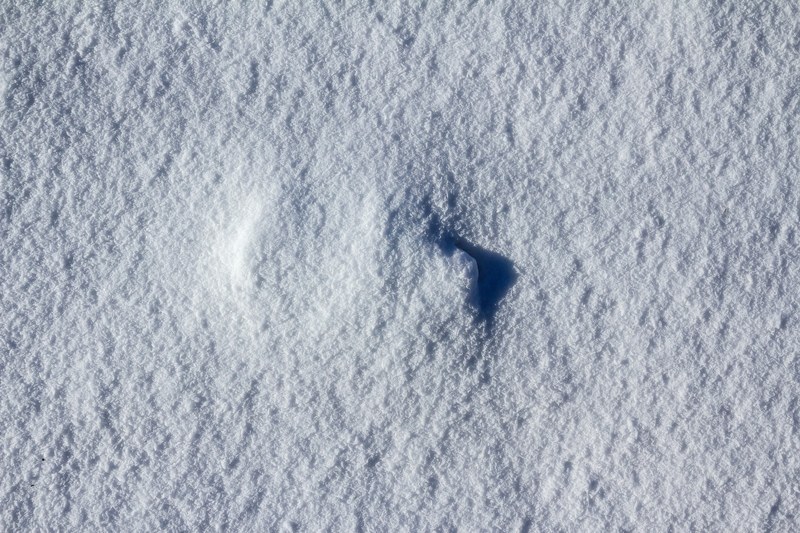 surface white texture texture and frozen 4k