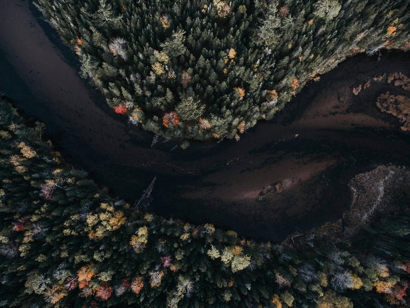 changing seasons 4k