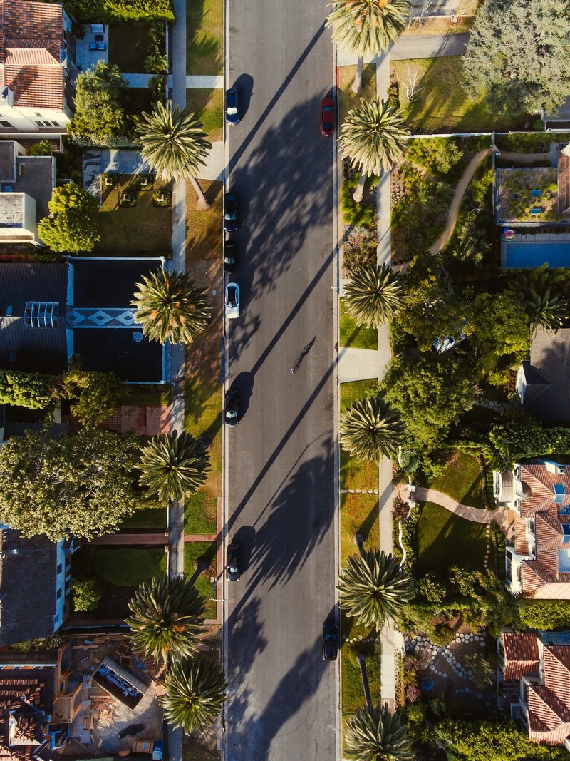 tree stree shadow and garden hd, 4k