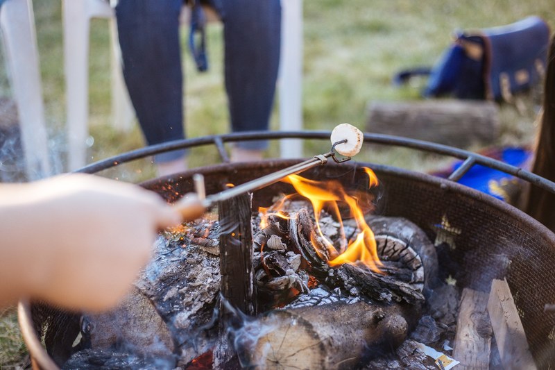 fire campfire marshmallow and holding 4k