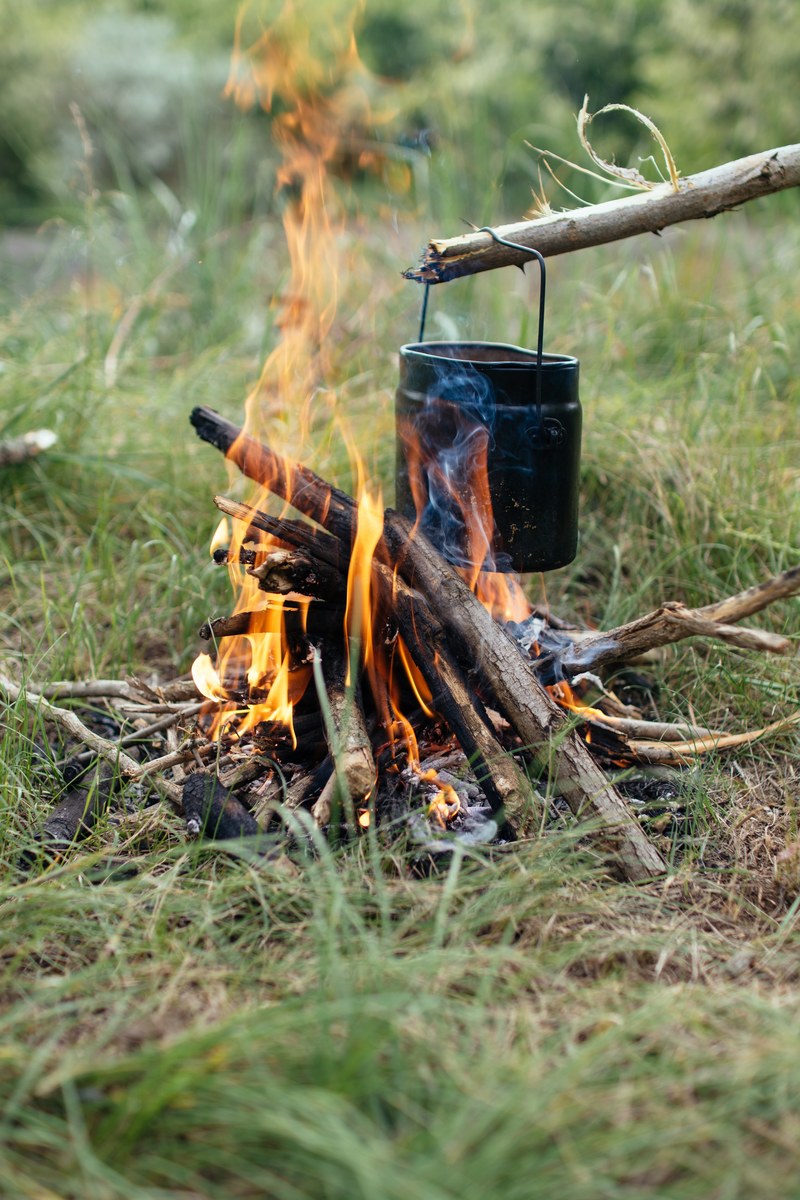 camp grass outdoor and nature hd, 4k