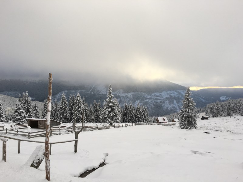 an isolated wood house in front of a snowcapped forest and a hidden mountain, snowy winter cabins 4k