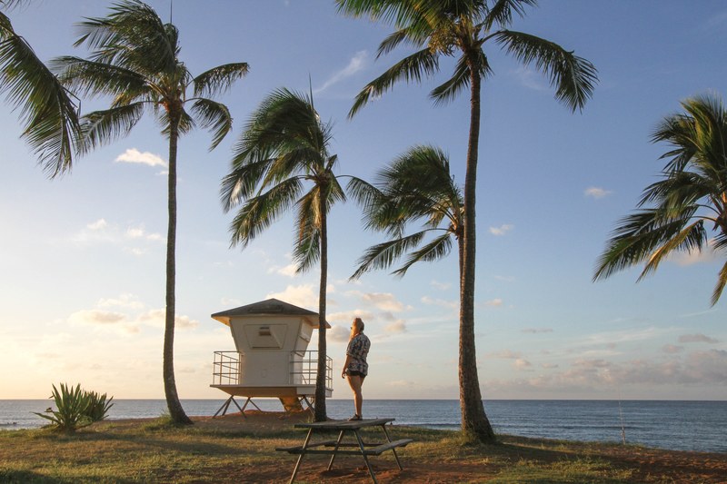 beautiful beachfront shot in hawaii, _hawaii beach 4k