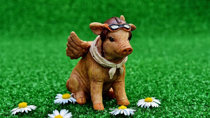 pig, pilot, statuette, 4k
