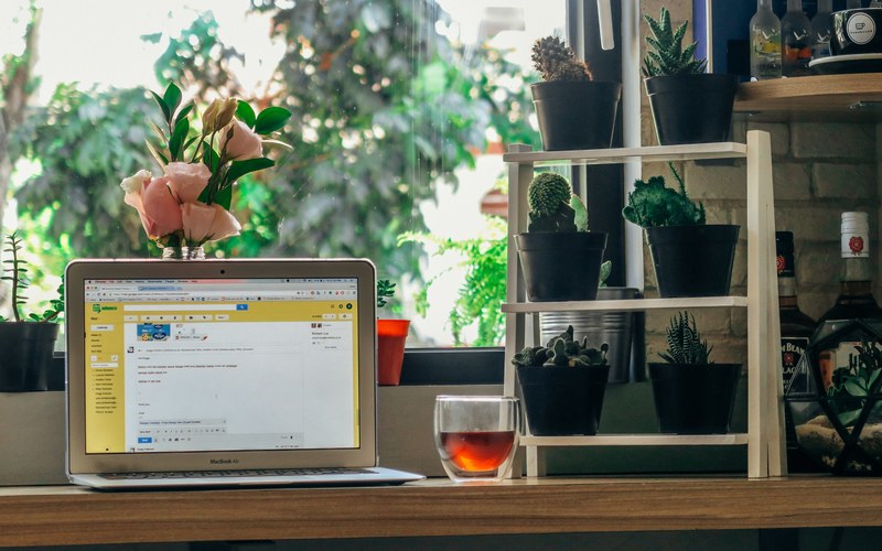 a laptop and a cup of tea on a desk surrounded with various plants, laptop on a green thumbs desk 4k