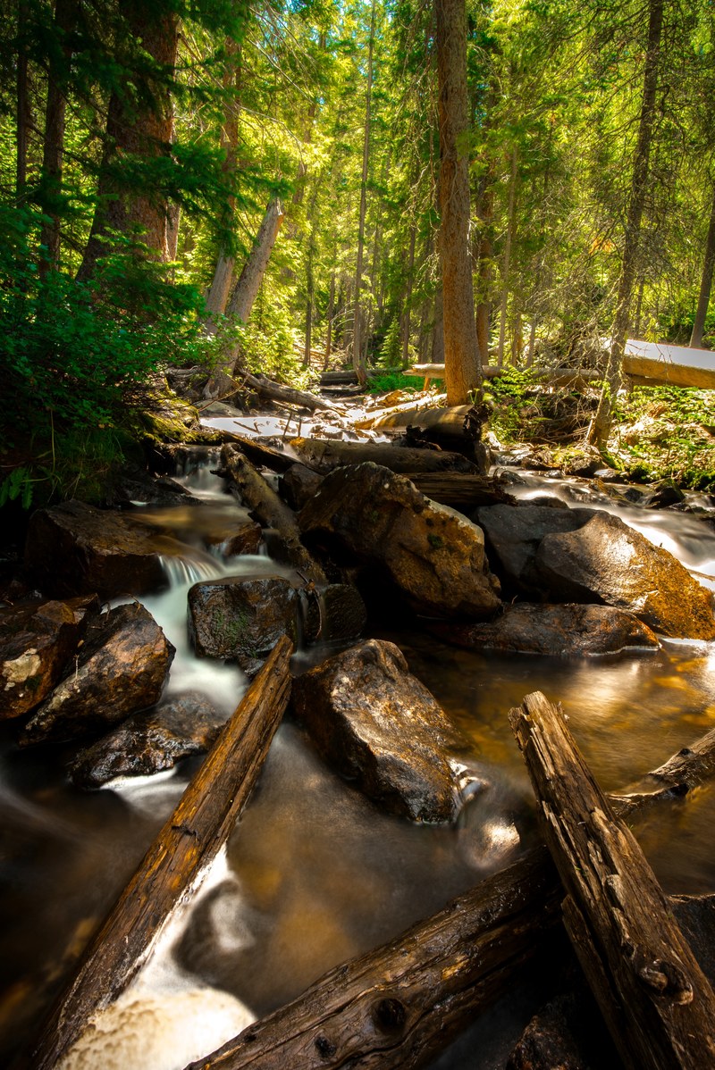 river stream tree and forest hd, 4k